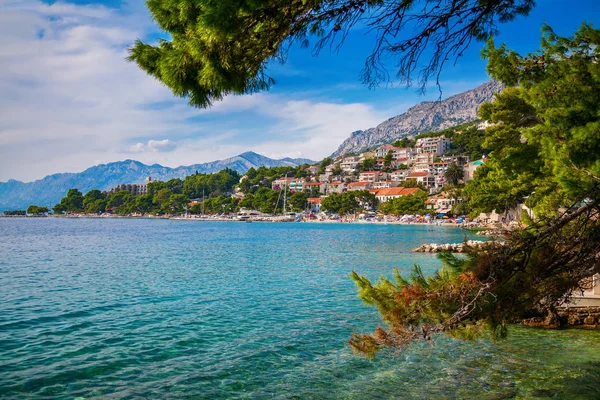 Croatian landscape through pines — Stock Photo, Image