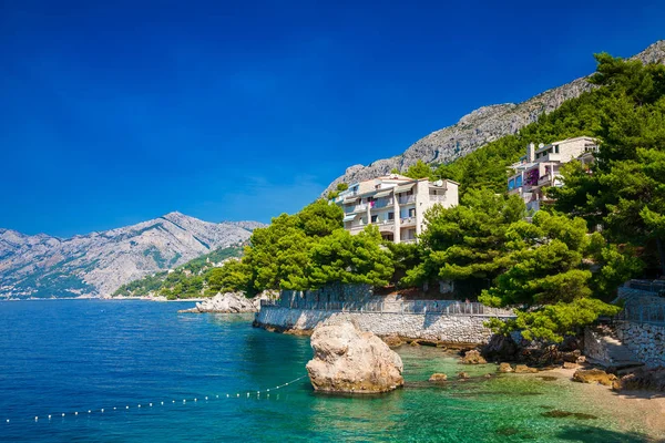 Magnifique littoral avec des pins verts à Brela — Photo