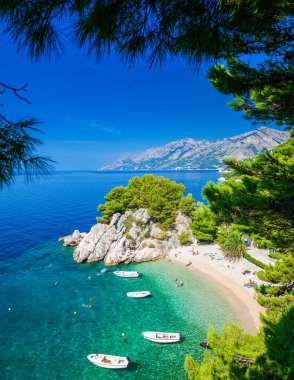 Brela Podrace Beach'te çam ağaçları ile