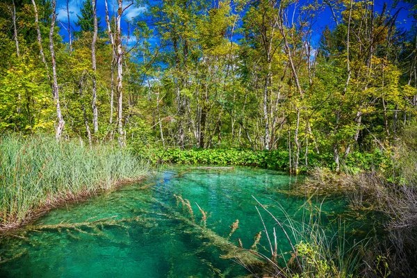 Lago transparente en el Parque Nacional de Plitvice — Foto de Stock