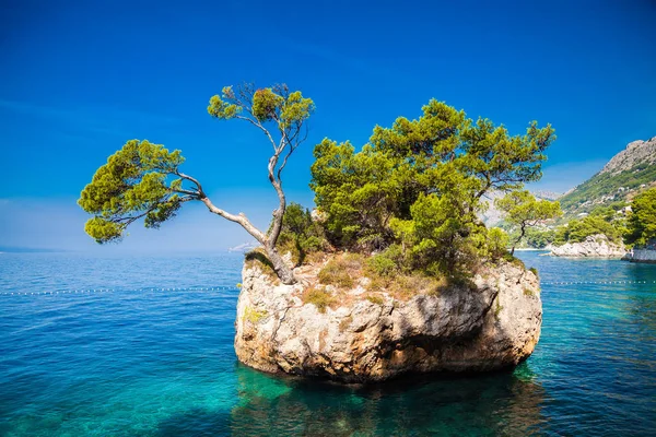 Brela Rock nära Punta Rata strand — Stockfoto