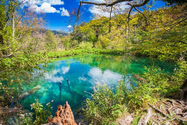Лазурное озеро Плитвицы — стоковое фото