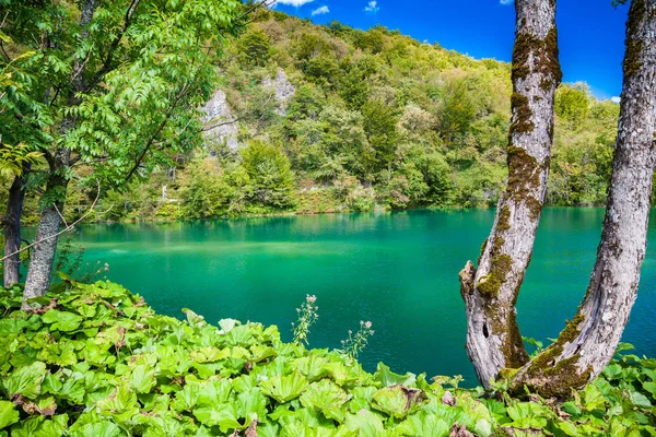 Azuurblauwe meer in nationaal park Plitvice — Stockfoto
