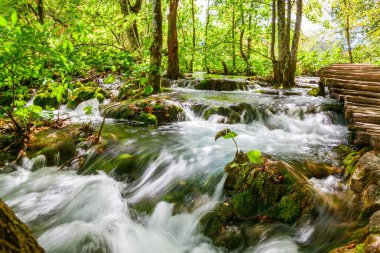 şelale Plitvice ormanda