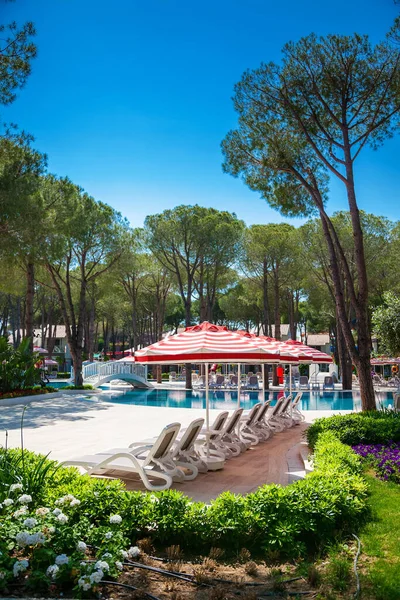 Swimming pool among pine trees — Stock Photo, Image