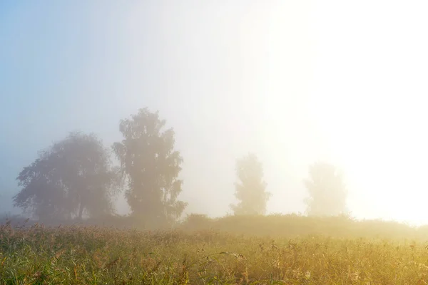 Köyde puslu sabah erken