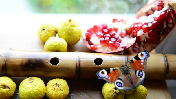 Schmetterling flattert mit den Flügeln — Stockvideo