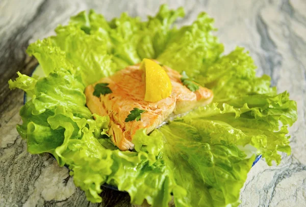 Steamed salmon on a plate — Stock Photo, Image