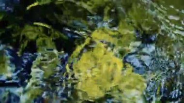 Kaynayan sıvıyla soyut renk arkaplanı