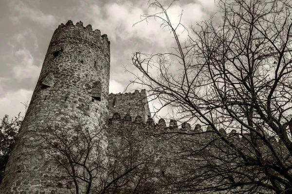 stock image the ruins of the medieval castle