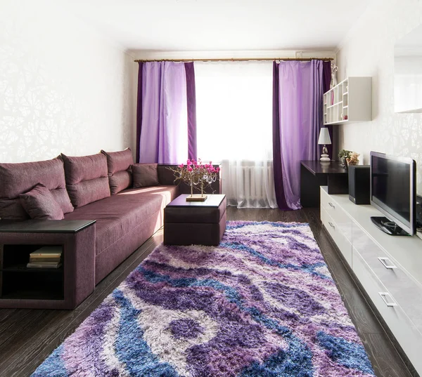 室内设计 白色和紫色 图库照片