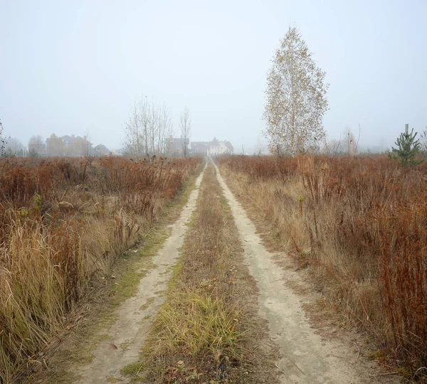 Jesienny Krajobraz Lasu Droga Przez Wieś Drzew Liści — Zdjęcie stockowe