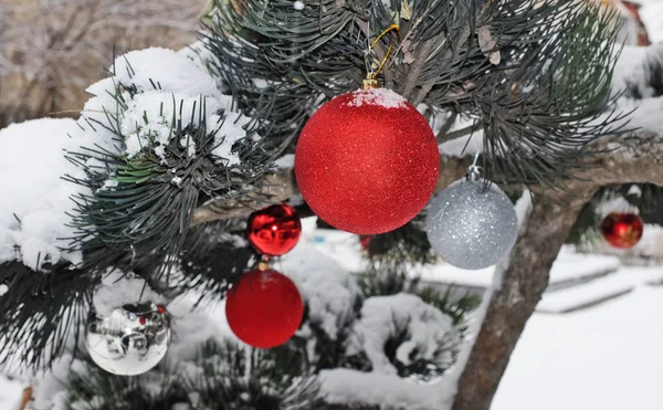 Christmas Decorations Tree Selective Focus — Stock Photo, Image