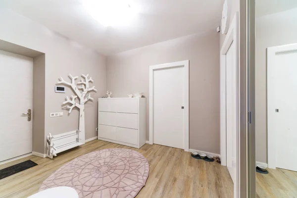 Hall with a corridor in Contemporary style — Stock Image Hall with a corridor in Contemporary style Stock Photo