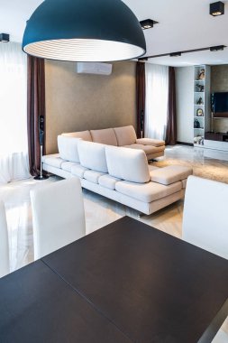 modern oturma odası. Kanepe ve ahşap zemin var. 