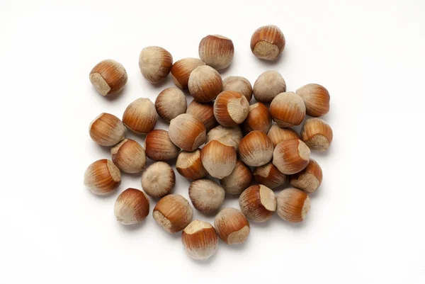 Hazelnuts in the shell isolated on white background — Stock Photo, Image