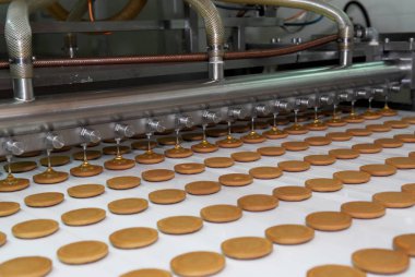 Bisküvi ve waffle üretim fabrikası hattı