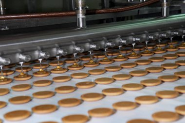 Bisküvi ve waffle üretim fabrikası hattı