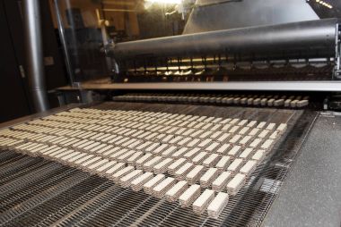 Bisküvi ve waffle üretim fabrikası hattı
