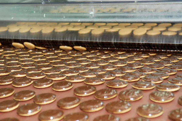 Linea di produzione di biscotti e waffle — Foto Stock