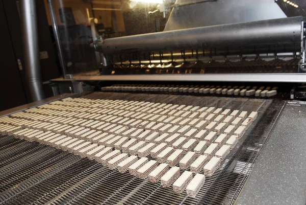 Bisküvi ve waffle üretim fabrikası hattı