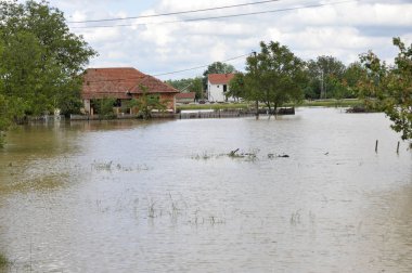 Sel, sonuçlarını ev sular altında