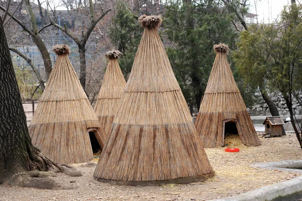 Kızılderili çadırı evde Milli Parkı