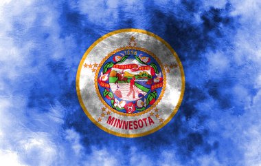 Minnesota Devlet grunge bayrağı, Amerika Birleşik Devletleri
