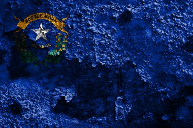 Nevada devlet grunge bayrağı, Amerika Birleşik Devletleri