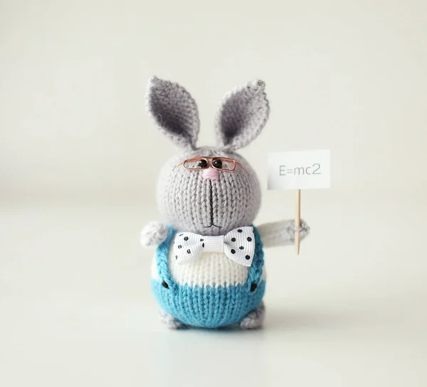 Handmade knitted rabbit. Easter bunny   scientist in glasses holds in his paw a sign formula in physics Stock Photo