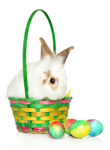 白色背景上有复活节蛋的兔子 — 图库照片