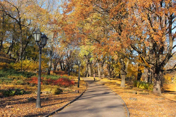 Park in riga — Stockfoto