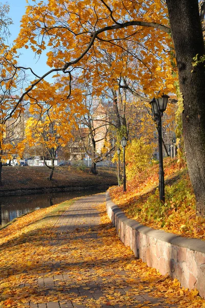 Парк в Риге — стоковое фото