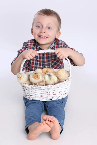 Ragazzo con pulcino — Foto Stock