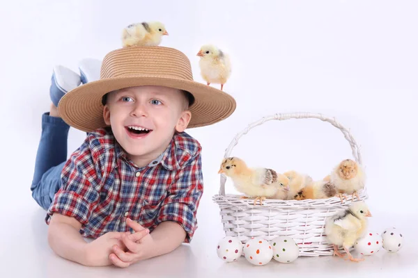 Pulcini e uova di Pasqua — Foto Stock