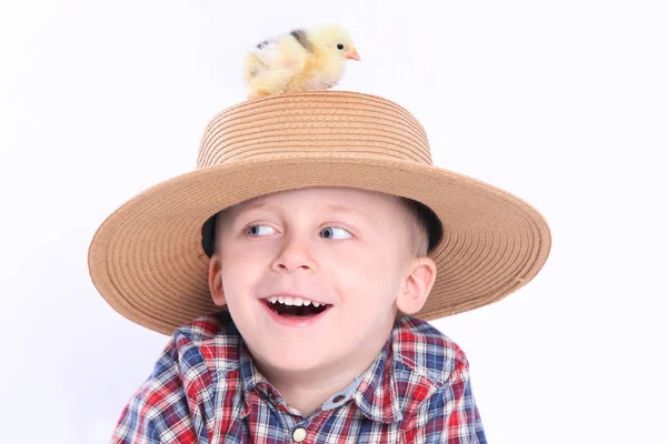 Boy with chick — Stock Photo, Image