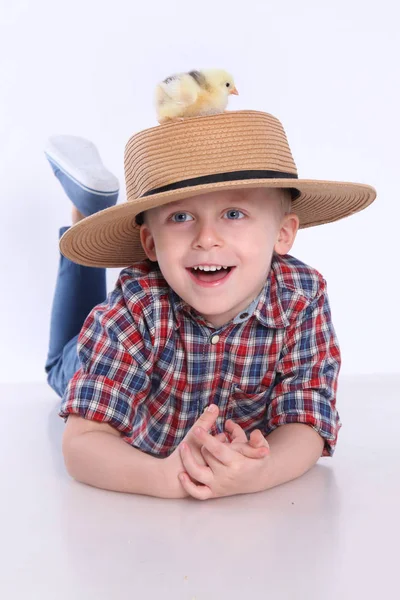 Boy with chick — Stock Photo, Image