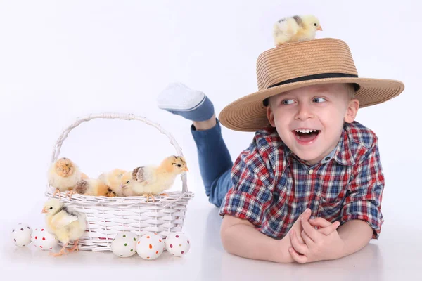 Mláďata a velikonoční vajíčka — Stock fotografie
