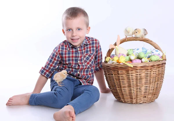 Kuikens en paaseieren — Stockfoto