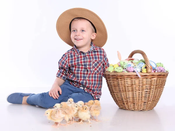 Menino com pinto — Fotografia de Stock