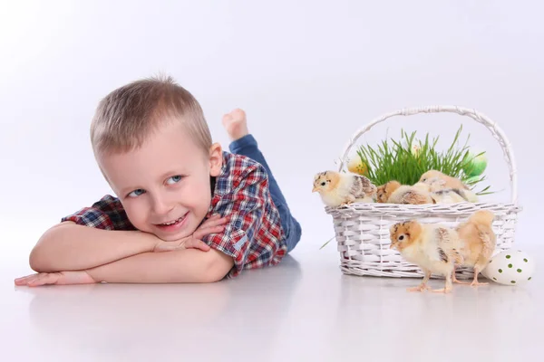 Boy with chick — Stock Photo, Image