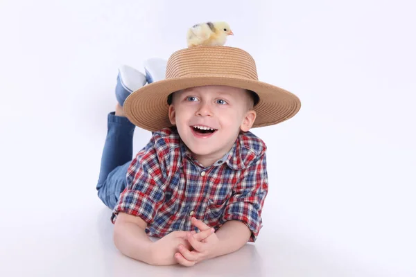 Boy with little chick — Stock Photo, Image