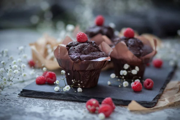 Chocolate y frambuesa — Foto de Stock