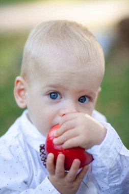 Küçük şirin çocuk doğum gününü kutluyor.
