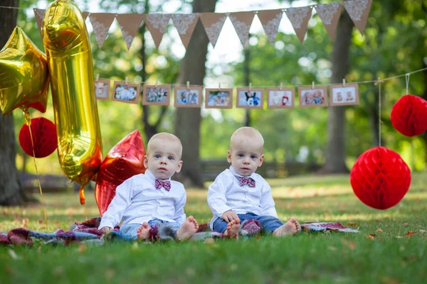 Zwillingsbrüder Feiern Ersten Geburtstag — Stockfoto