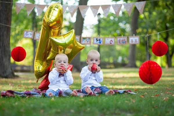双胞胎兄弟庆祝他的第一个生日 — 图库照片