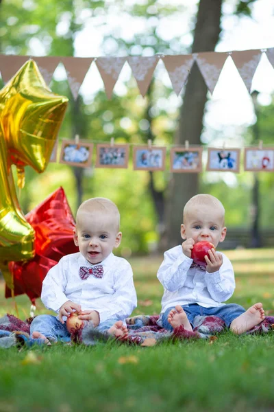 Fratelli Gemelli Festeggiano Primo Compleanno — Foto Stock