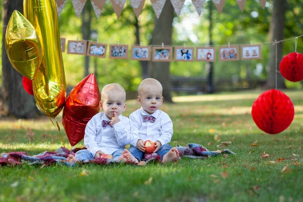双胞胎兄弟庆祝第一个生日 — 图库照片