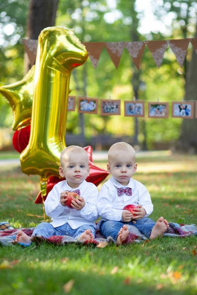 Twin Brothers Celebrating First Birthday — Stock Photo, Image