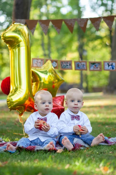 Fratelli Gemelli Festeggiano Primo Compleanno — Foto Stock